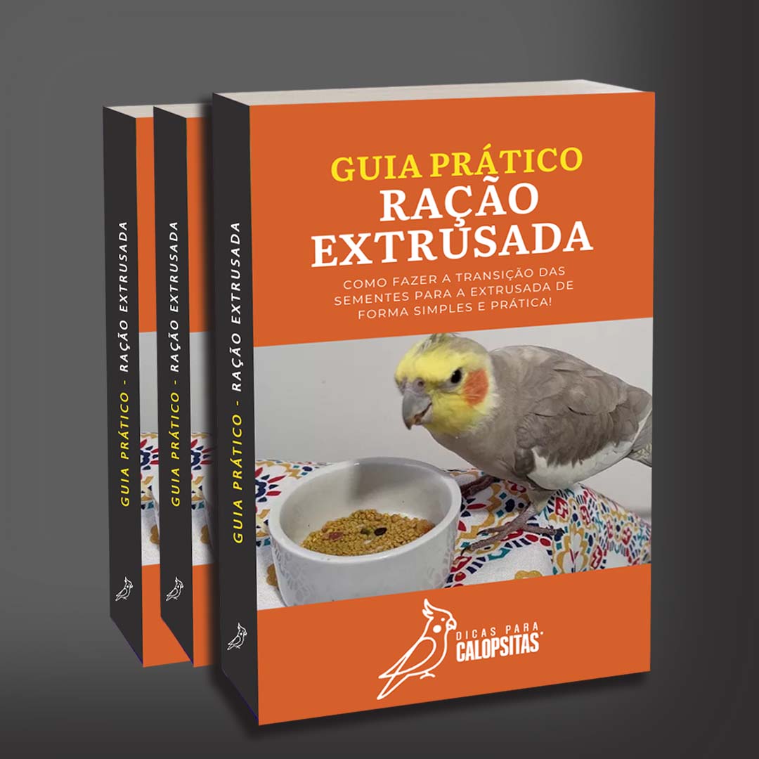 Guia Extrusada
