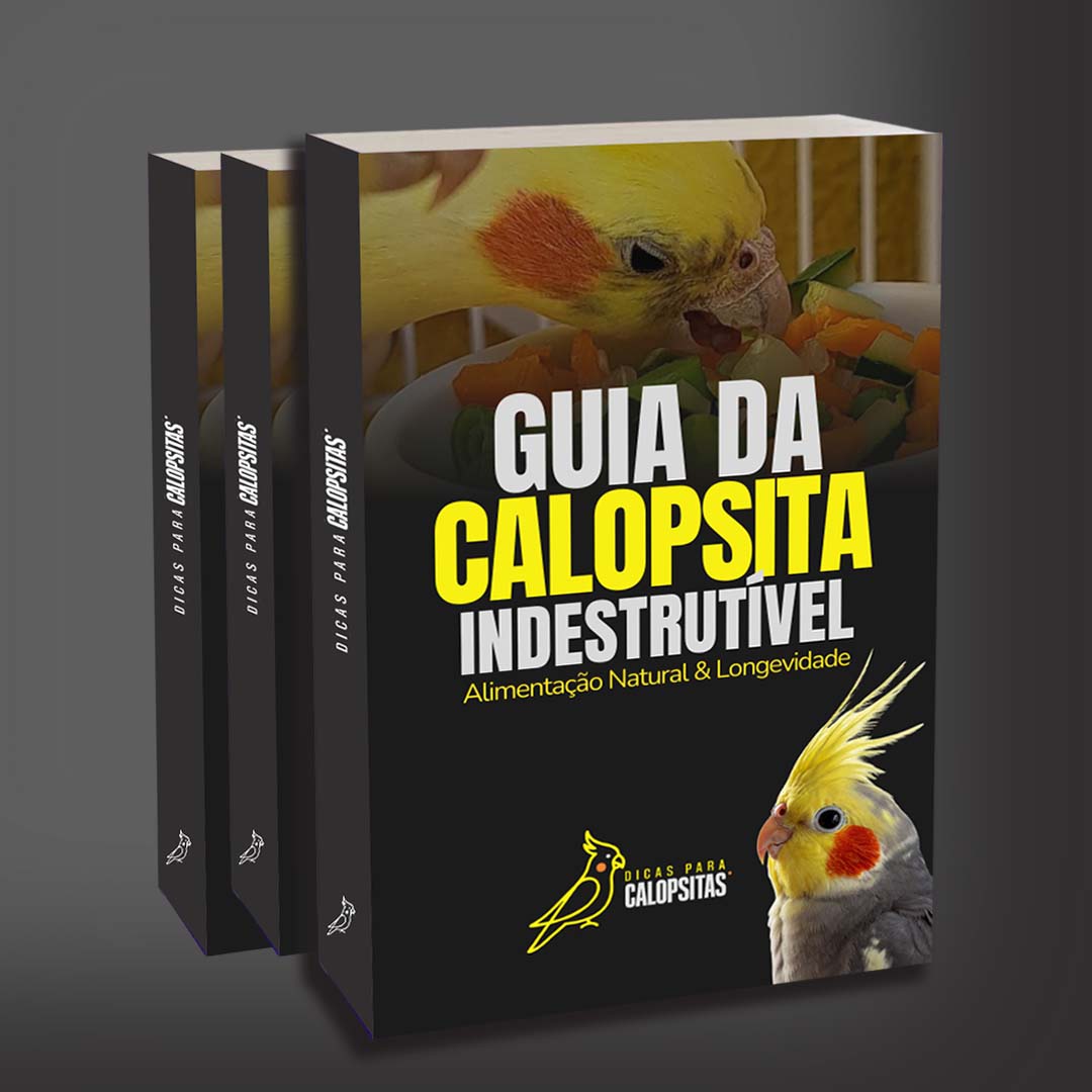Ebook Receitas