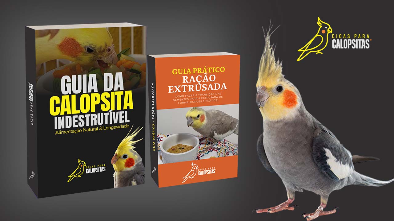 Transformação Calopsita Indestrutível
